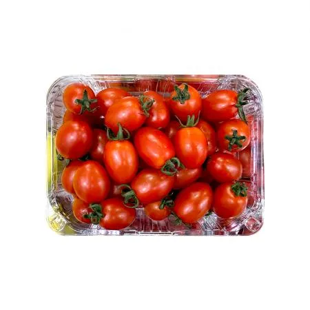대추방울토마토 1팩(750g내외) 방울토마토