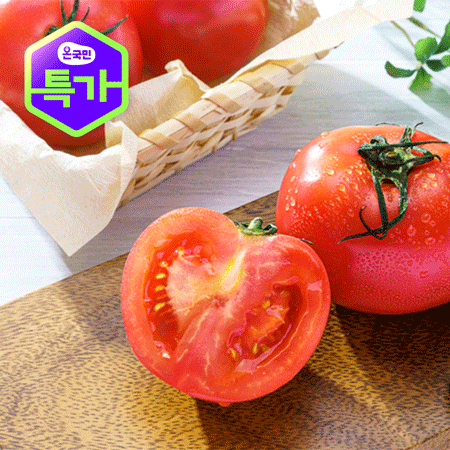 완숙토마토 5kg (특1-2번과)