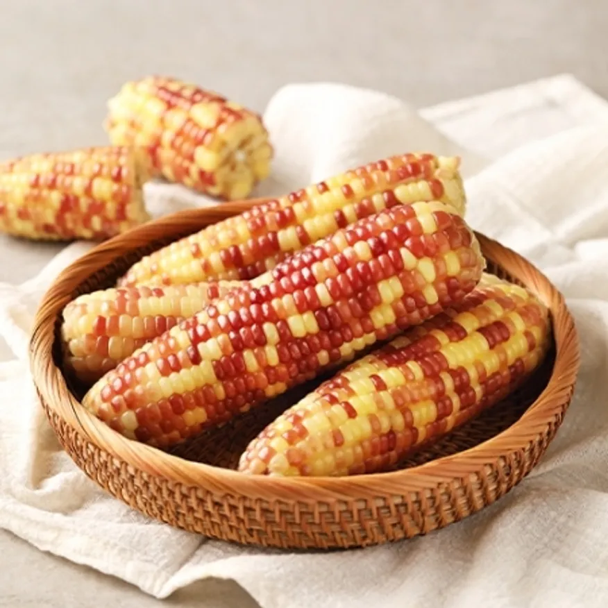 삶은 홍찰옥수수 1kg (5개입) 간식 휴게소 관광지 옥수수 이미지