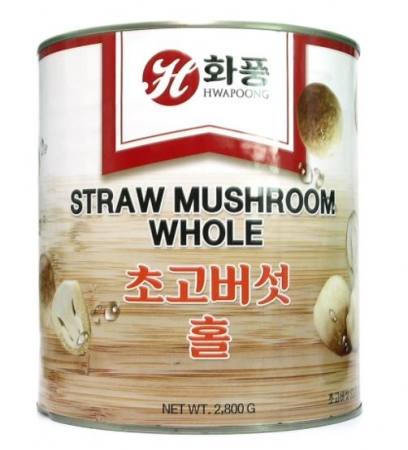 화풍 초고버섯2.8K 이미지