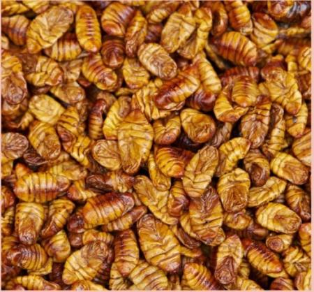 중국산 냉동번데기4kg 4개 1박스  