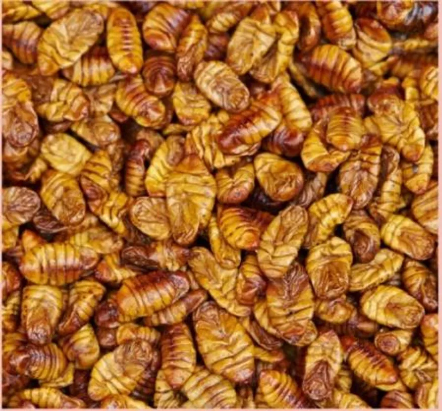 중국산 냉동번데기4kg 4개 1박스   이미지