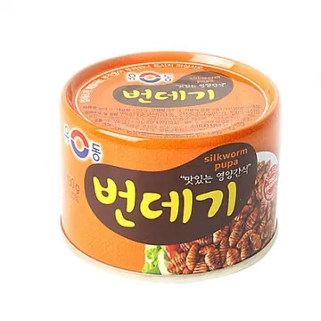 유동 번데기130g 1개