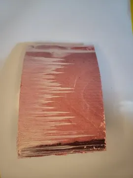 참다랑어 적신(아까미)속살