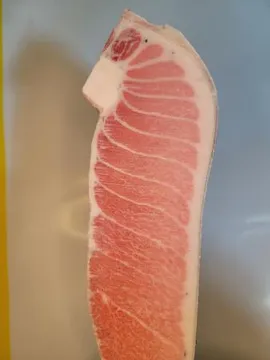 참다랑어 가마도로