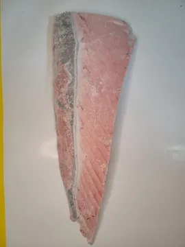 눈다랑어 특뱃살