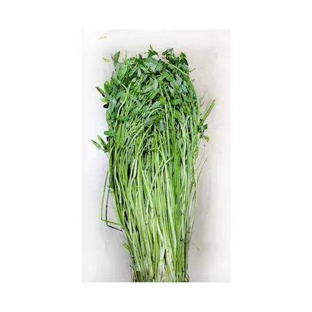 돌미나리4kg(박스) / 국내산 / 신선식품 채소  이미지