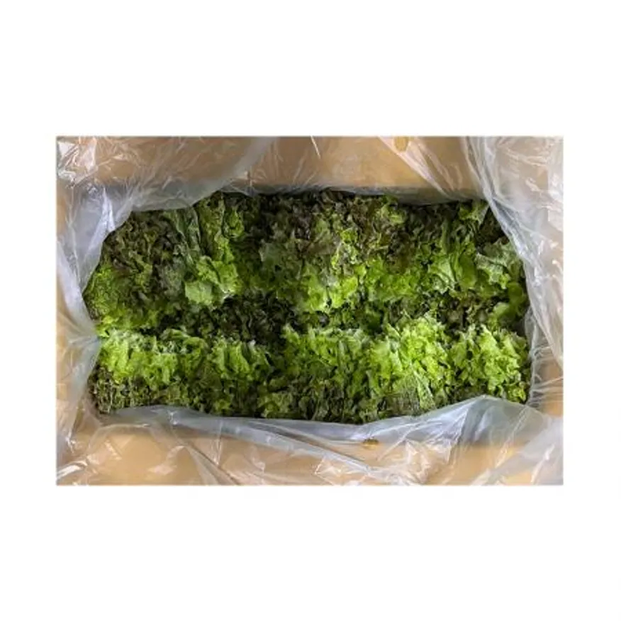 적상추4Kg 1BOX / 상,쌈채소,상추,국내산 / 신선식품 이미지