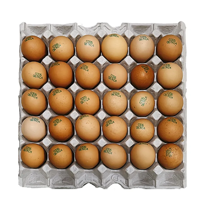 특란 1판(1,250g) 30알 / 국내산 계란,달걀 이미지