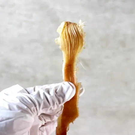 자연에서 식탁까지 바베큐오징어 1kg 이미지