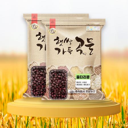 햇쌀농산 24년산 울타리콩 10kg(5kg 2개) 밤콩 밤양대